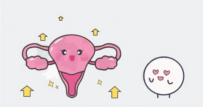 决定胚胎着床的4个宫腔因素，缺一不可！